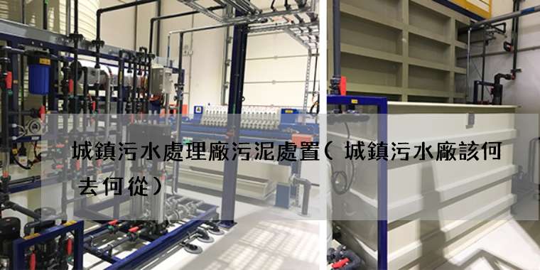 城鎮污水處理廠污泥處置(城鎮污水廠該何去何從)
